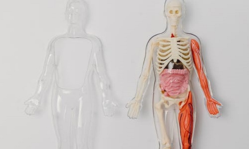 Światowy dzień osób chorych na osteoporozę